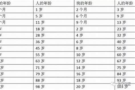 1991年出生|1991年今年多大